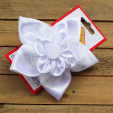 Load image into Gallery viewer, Wedding "I Do" Collar Accessories