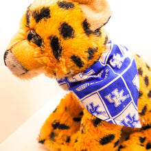 Load image into Gallery viewer, UK Wildcats Over-The-Collar Bandanas