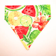 Load image into Gallery viewer, Summer Fruit Over-The-Collar Bandana