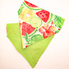 Load image into Gallery viewer, Summer Fruit Over-The-Collar Bandana