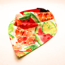 Load image into Gallery viewer, Summer Fruit Over-The-Collar Bandana
