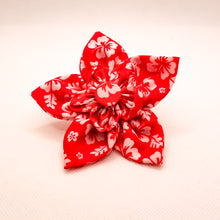 Load image into Gallery viewer, Summer Fun Collar Accessories - Flowers and Bow Ties