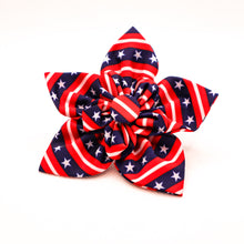 Load image into Gallery viewer, Patrioric Collar Flower Accessory