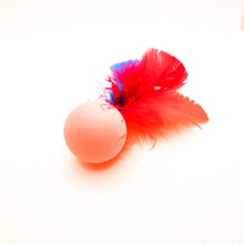 Load image into Gallery viewer, Go Cat Feather Pong
