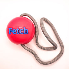 Load image into Gallery viewer, Orbee Tuff Fetch Ball with Rope