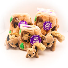 Load image into Gallery viewer, Hide-a-Squirrel Interactive Toy