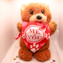 Load image into Gallery viewer, Pet Love Bandanas