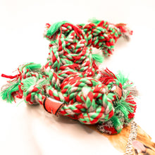 Load image into Gallery viewer, Mammoth SnakeBiter Scorpion