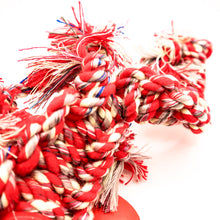 Load image into Gallery viewer, Mammoth SnakeBiter Scorpion