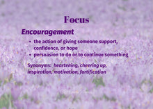 Load image into Gallery viewer, Scripture Card Classic Version - Full Set Bundle