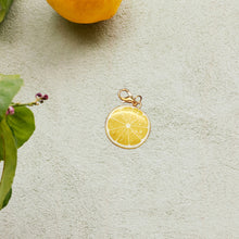 Load image into Gallery viewer, Charms - Lemons