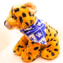 Load image into Gallery viewer, UK Wildcats Over-The-Collar Bandanas
